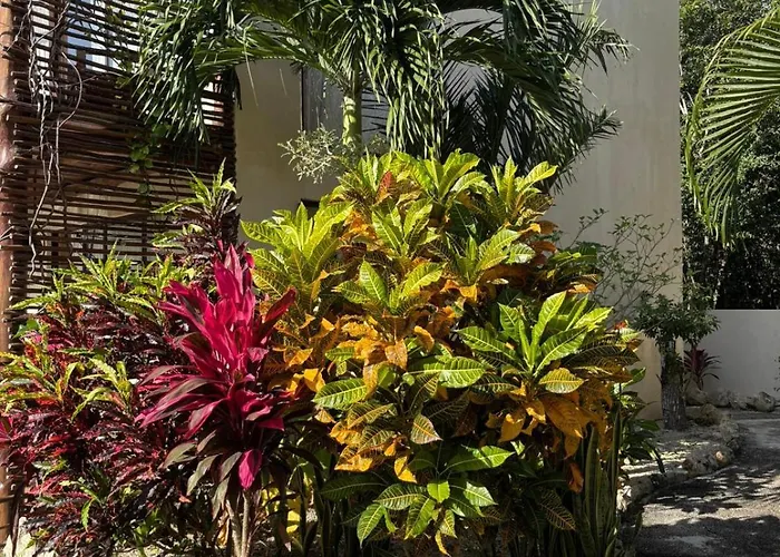 Ahal, Aparthotel 4*